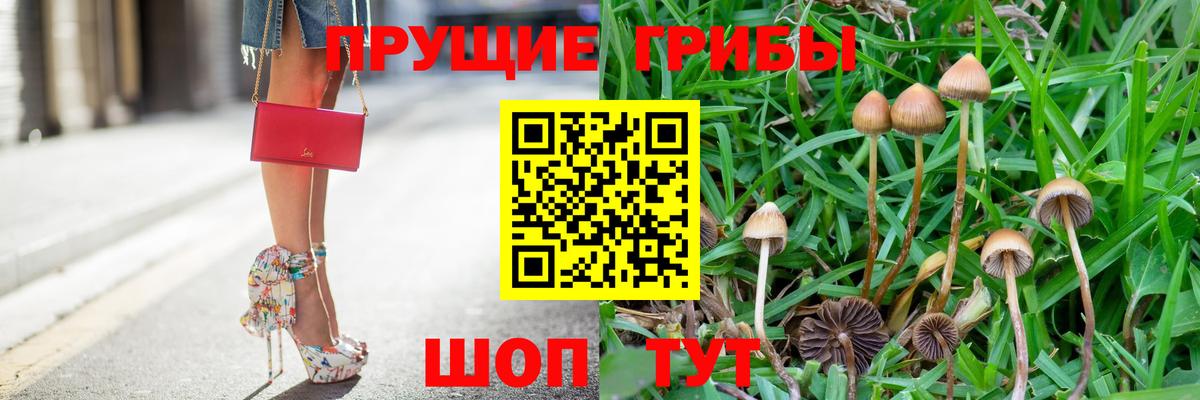 сколько стоит  Псилоцибиновые грибы MAGIC MUSHROOMS  Озёры  Вход с VPN  Псилоцибиновые грибы мухоморы 